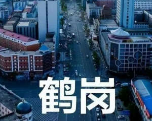 鹤岗为什么没人愿意去