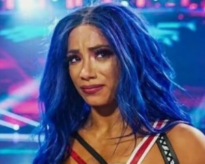 wwe女子比赛是真打还是假打