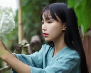 微念与李子柒达成和解了吗