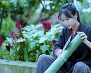 李子柒事件是怎么回事