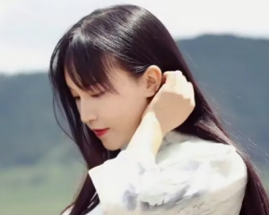 李子柒油管广告收益有多少