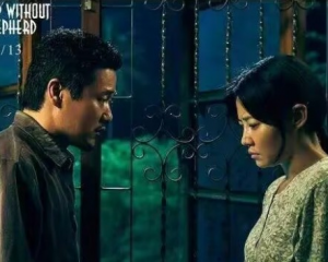 误杀1为什么看不了，电影《误杀》为什么被禁止上映