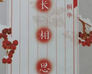 我最喜欢的一本书作文